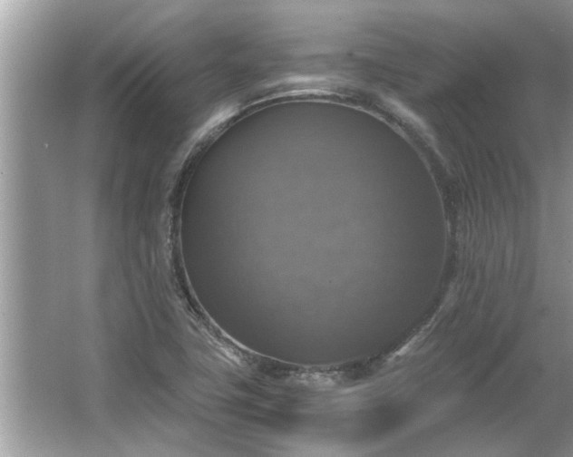 X0000063461411200601231406