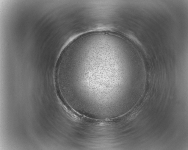 X0000063461412200601231406