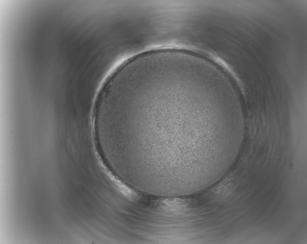 X0000063461416200601231406