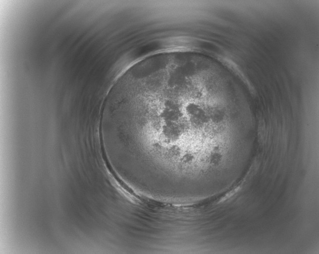 X0000063461417200601231406