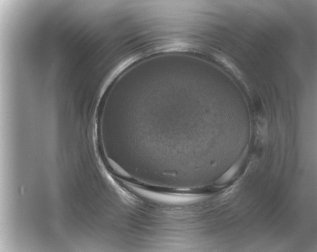 X0000063461418200601231406