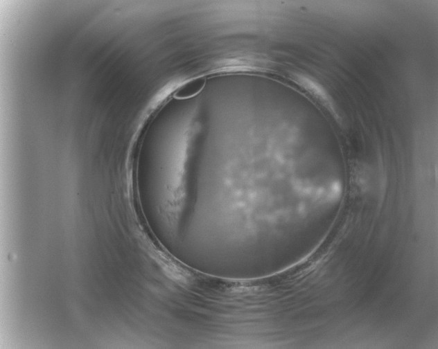 X0000063461419200601231406