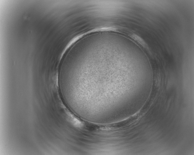 X0000063461420200601231406