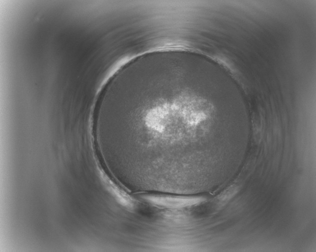 X0000063461422200601231406