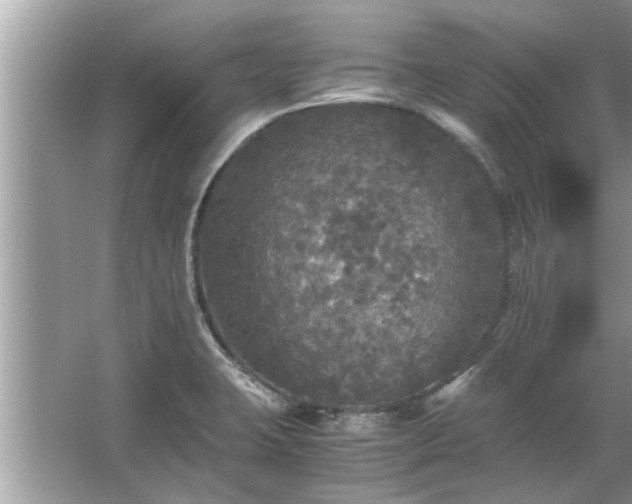 X0000063461423200601231406