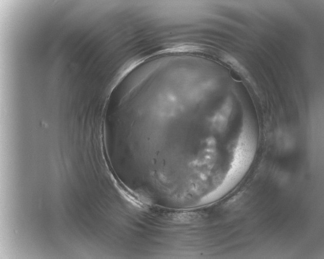 X0000063461425200601231406