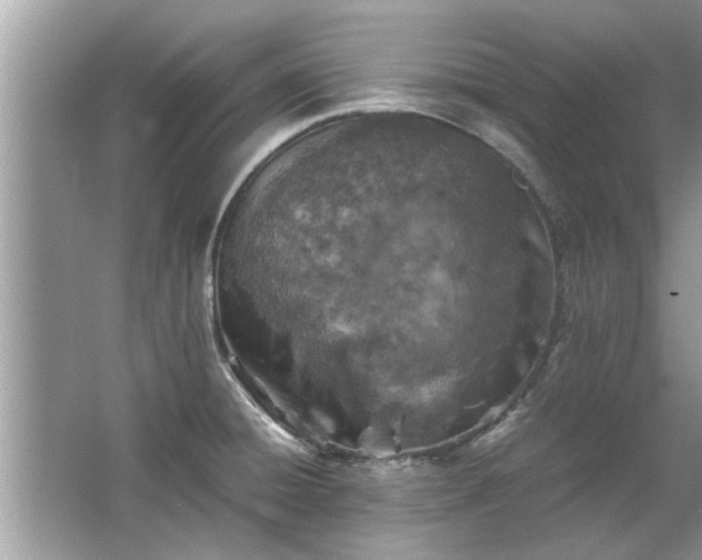 X0000063461428200601231406