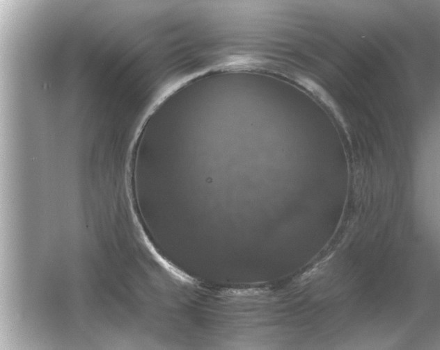 X0000063461429200601231406