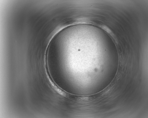 X0000063461431200601231406