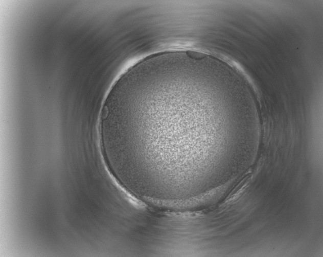 X0000063461432200601231406