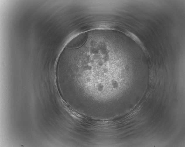 X0000063461435200601231406