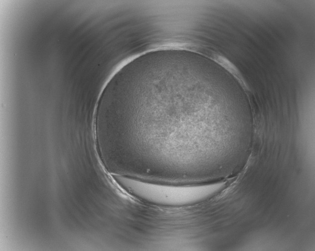 X0000063461436200601231406