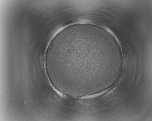 X0000063461437200601231406