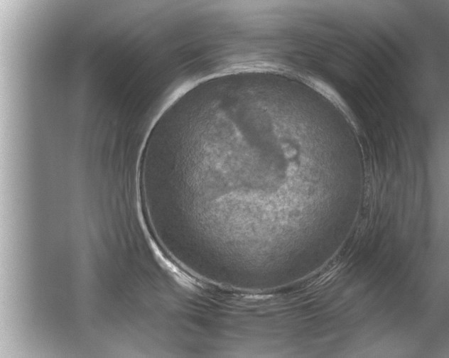 X0000063461439200601231407