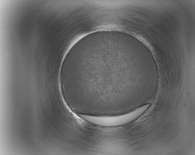 X0000063461440200601231407