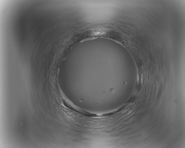 X0000063461441200601231406