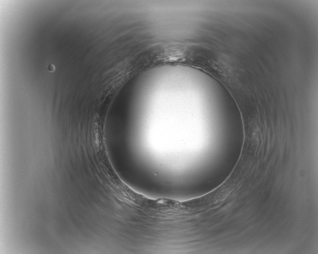 X0000063461442200601231406