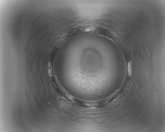 X0000063461443200601231406