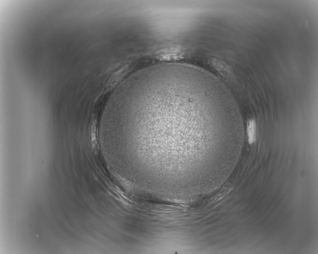 X0000063461444200601231406