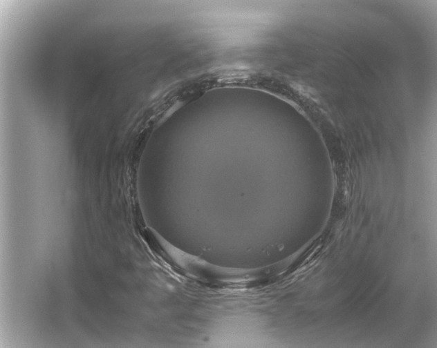 X0000063461445200601231406