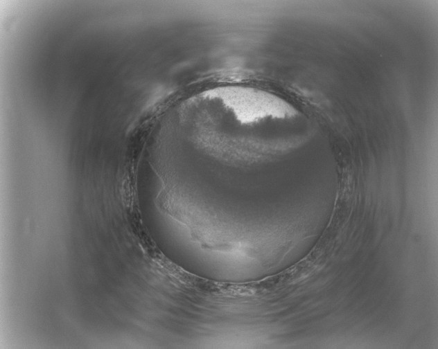 X0000063461446200601231406