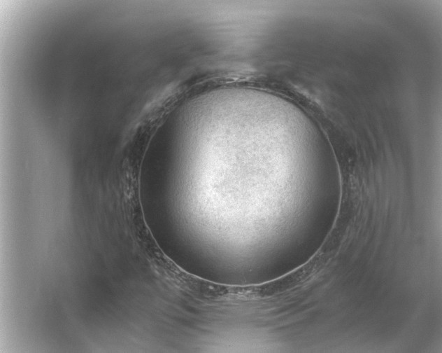 X0000063461447200601231406