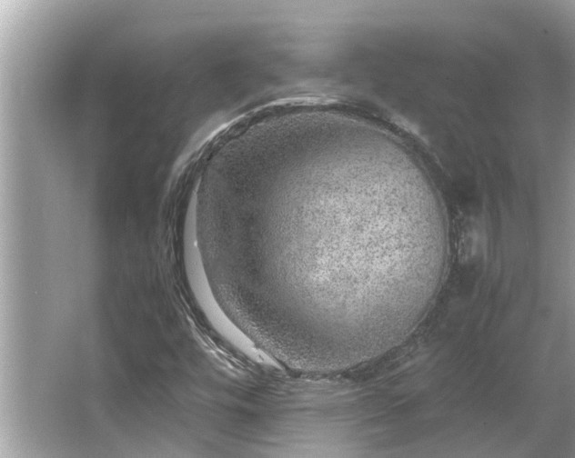 X0000063461448200601231406