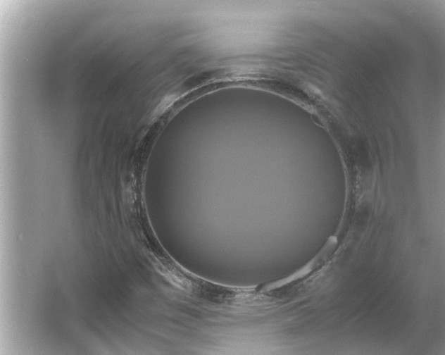 X0000063461449200601231406