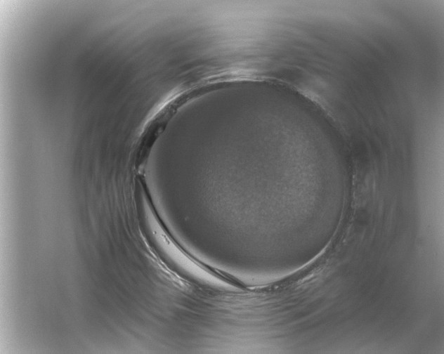 X0000063461450200601231406