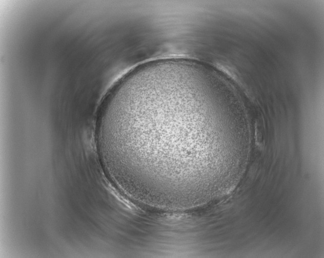 X0000063461452200601231406