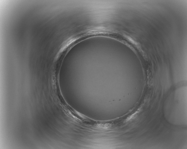 X0000063461453200601231406