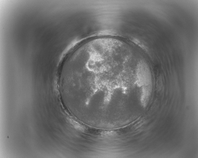 X0000063461454200601231405