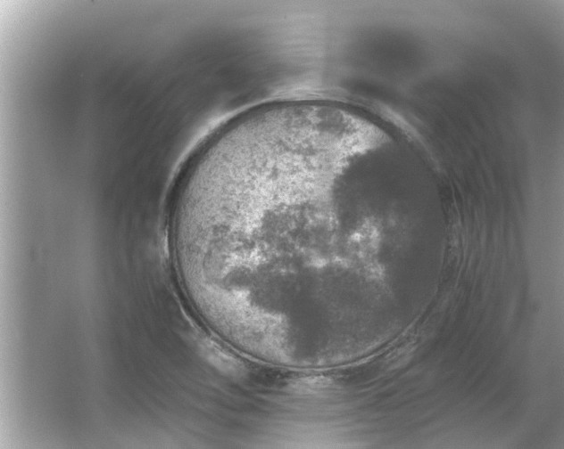 X0000063461462200601231405