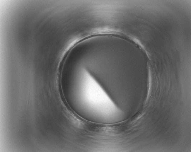 X0000063461463200601231405