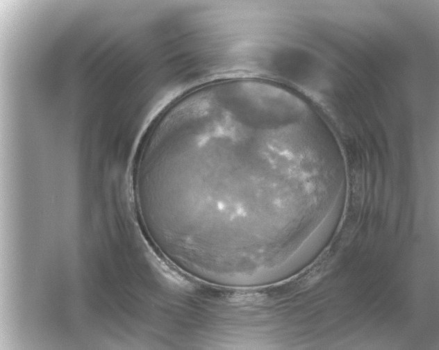 X0000063461466200601231405