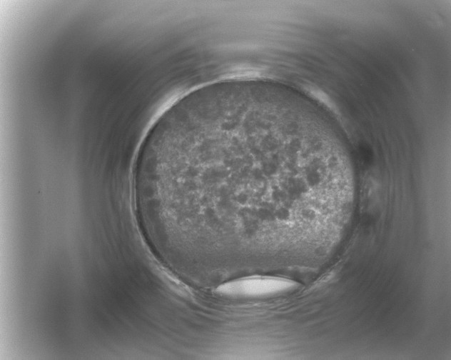 X0000063461467200601231405