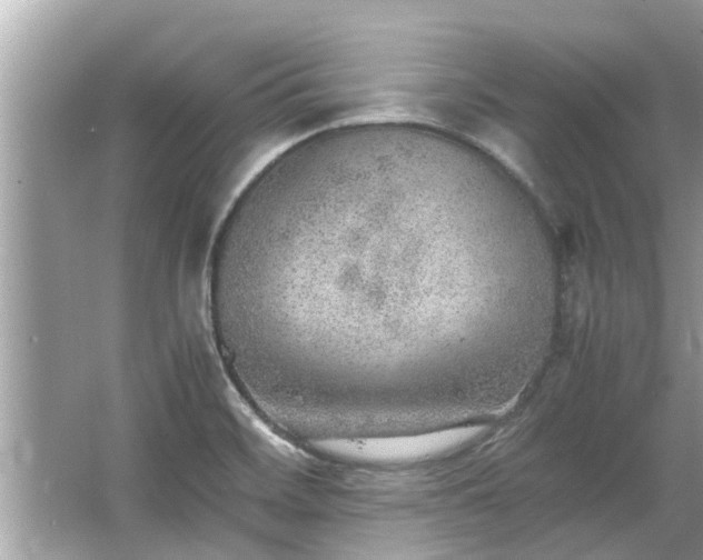 X0000063461468200601231405