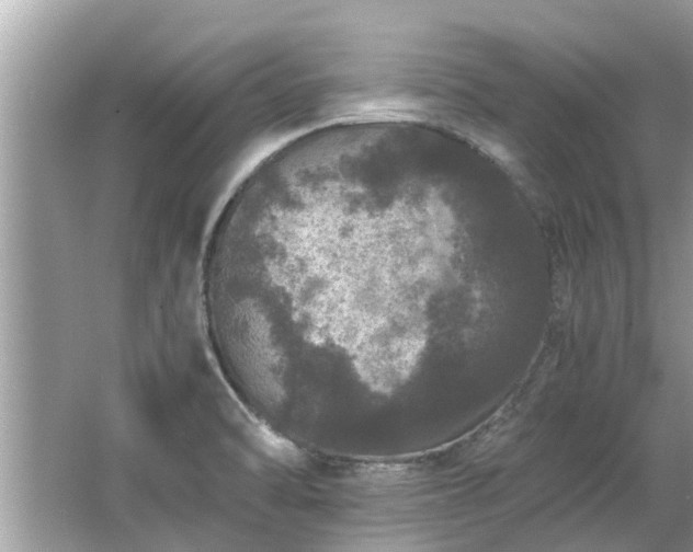 X0000063461470200601231405