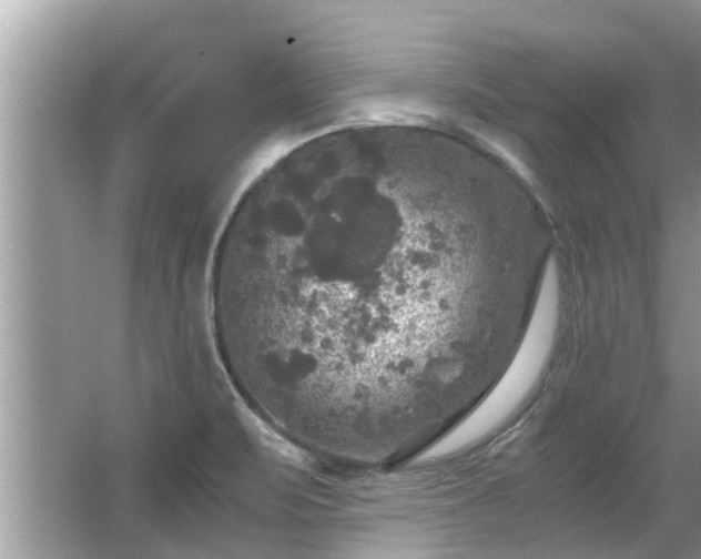 X0000063461471200601231405