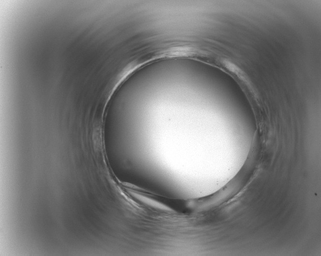 X0000063461473200601231405