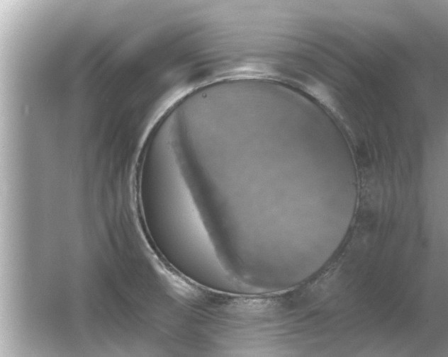 X0000063461474200601231405