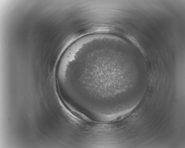 X0000063461475200601231405