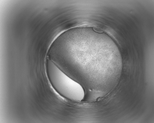 X0000063461476200601231405