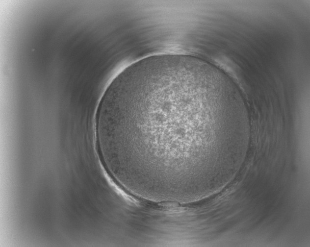 X0000063461479200601231405