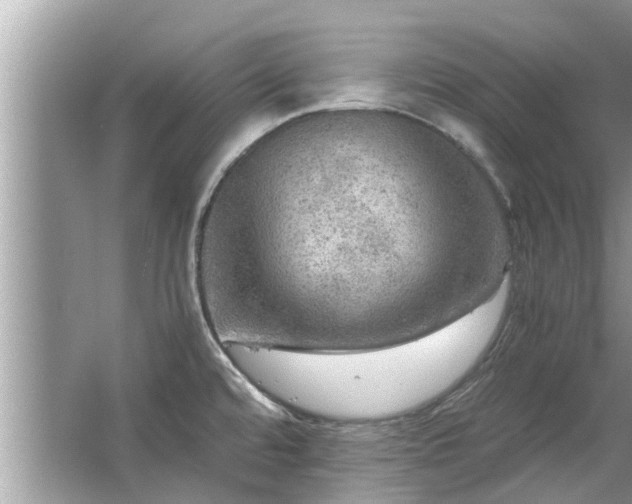 X0000063461480200601231405