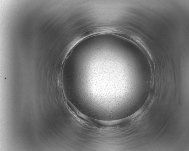 X0000063461481200601231405