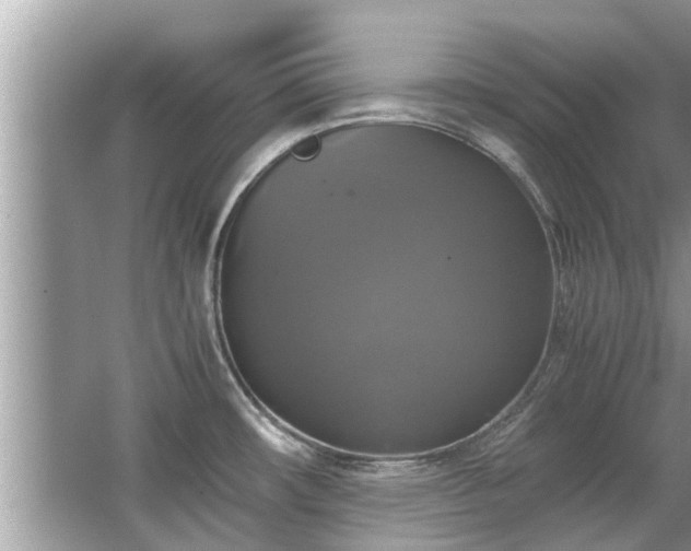 X0000063461482200601231405