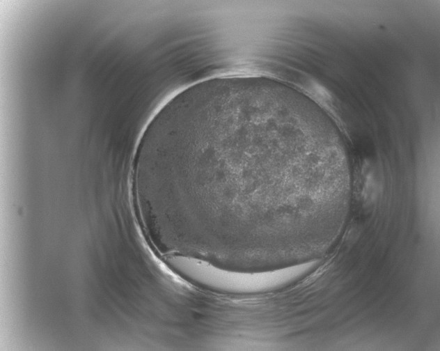 X0000063461484200601231405