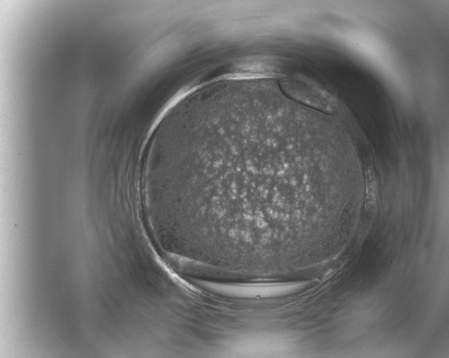 X0000063461487200601231405