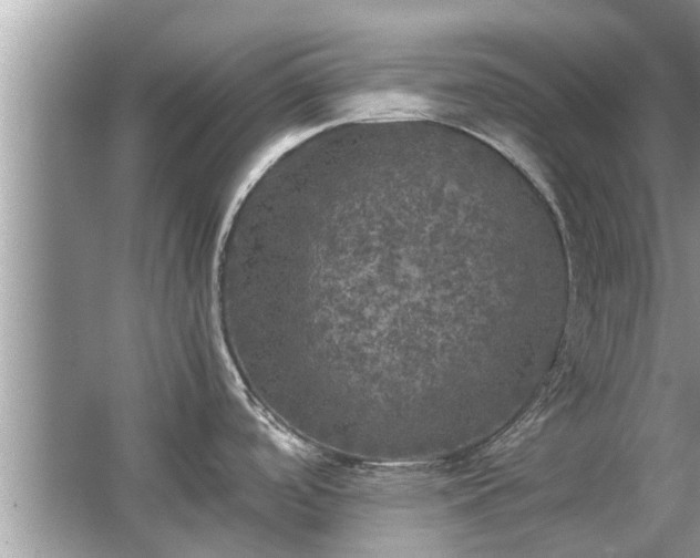 X0000063461488200601231405